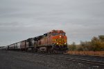 BNSF 4365